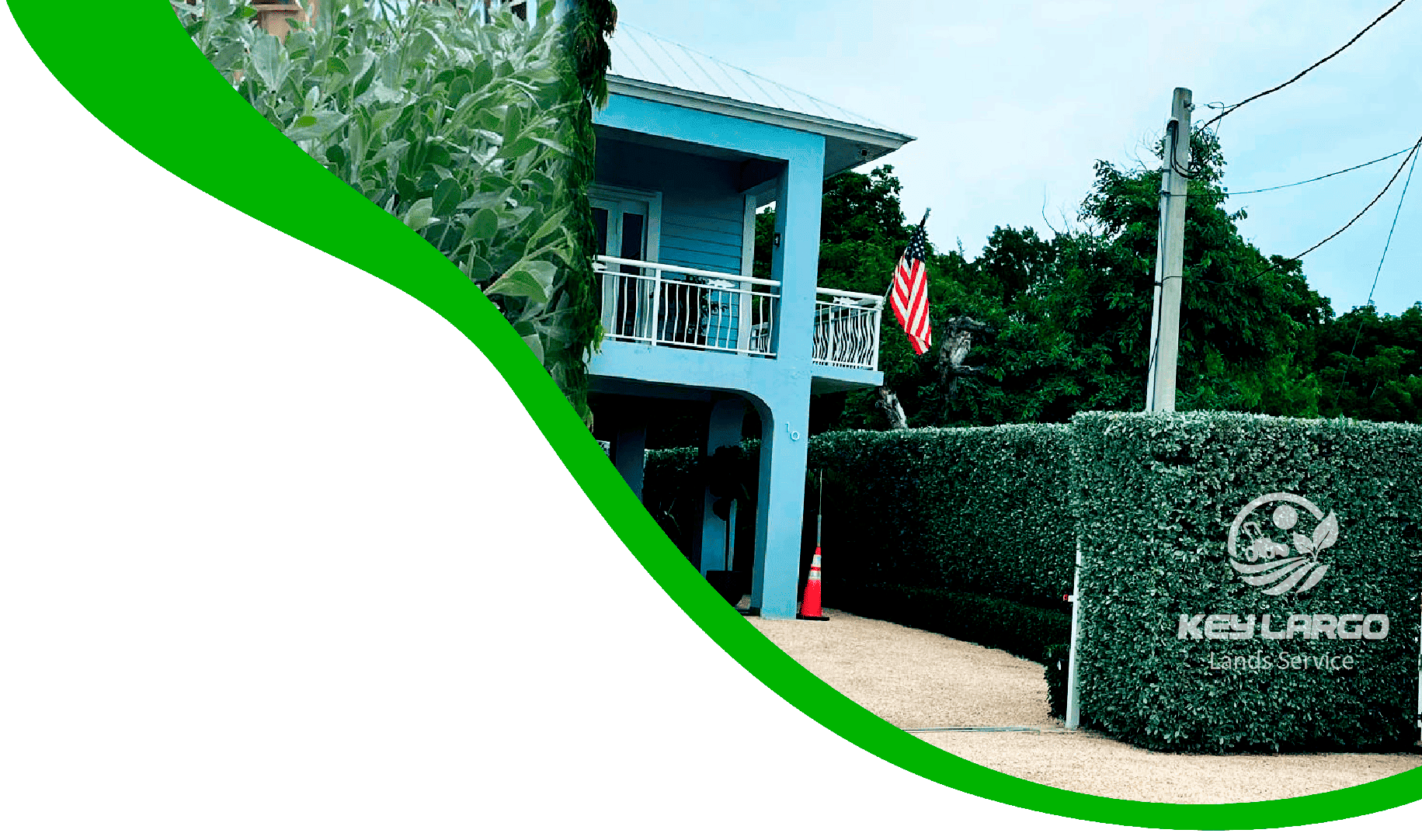 Imagen de fondo del jardín